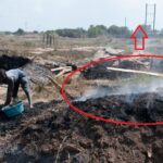 Queima de Carvão).Fonte:https://www.dw.com/pt